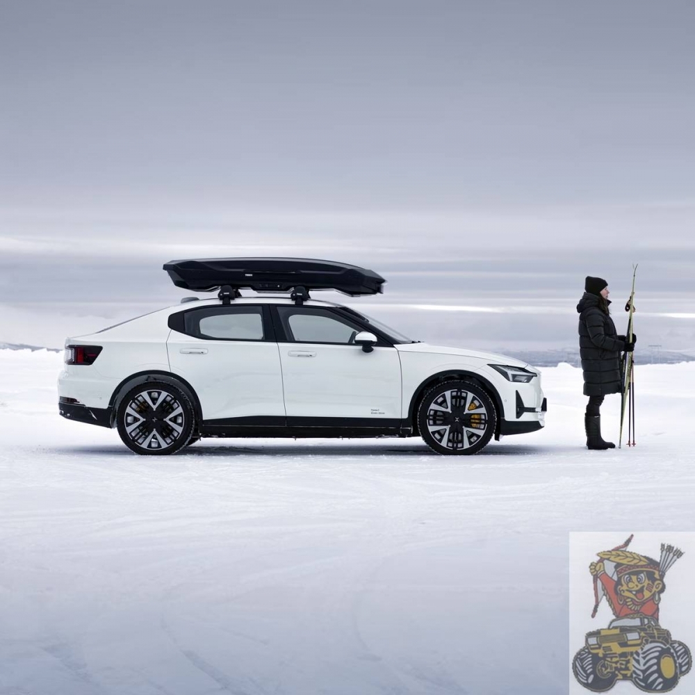 Thule Motion 3 XL Low
